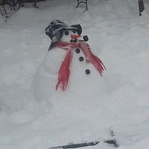 Meet your Posher, Frank